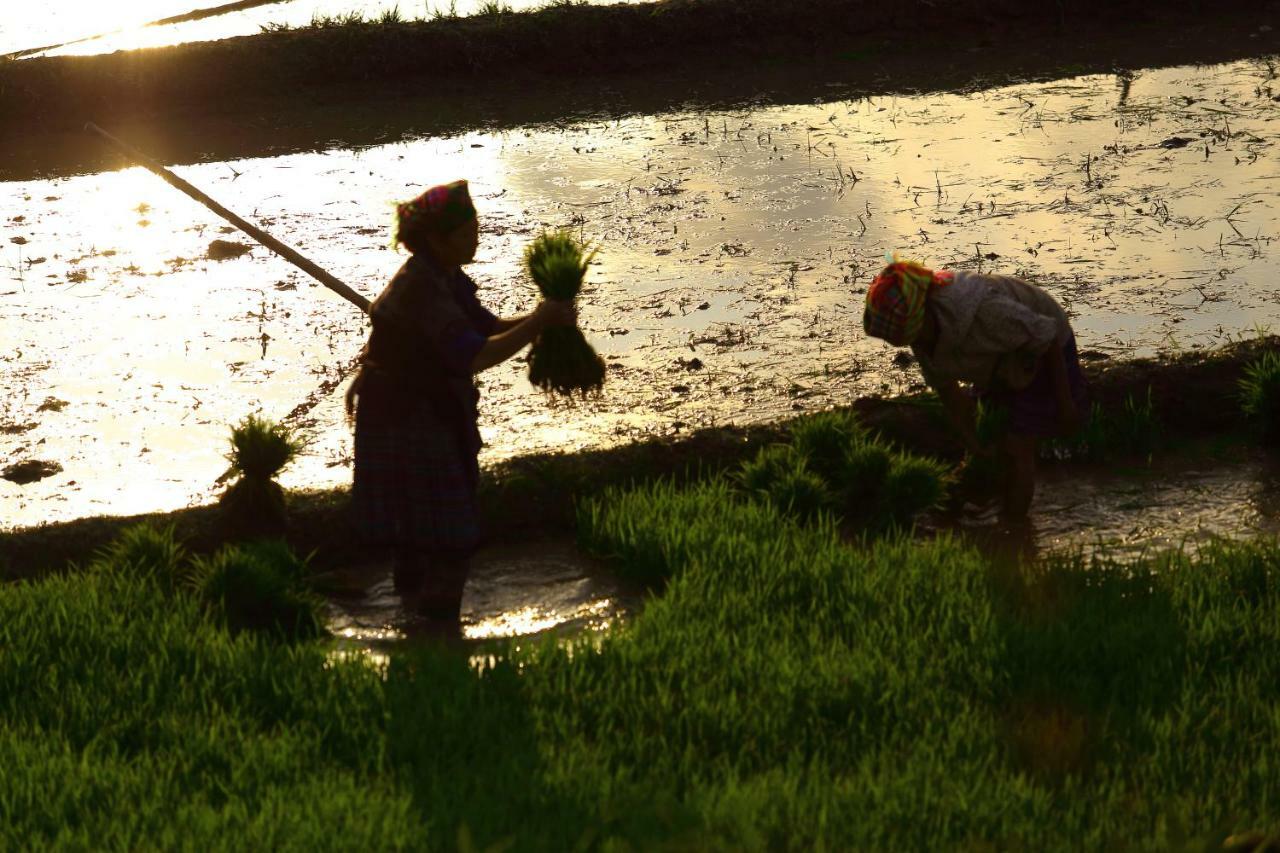Mu Cang Chai Eco Lodge Nam San Dış mekan fotoğraf