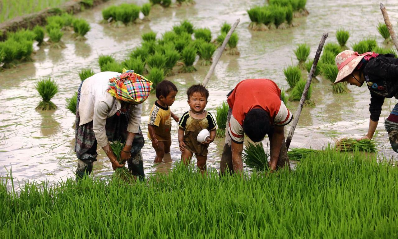 Mu Cang Chai Eco Lodge Nam San Dış mekan fotoğraf