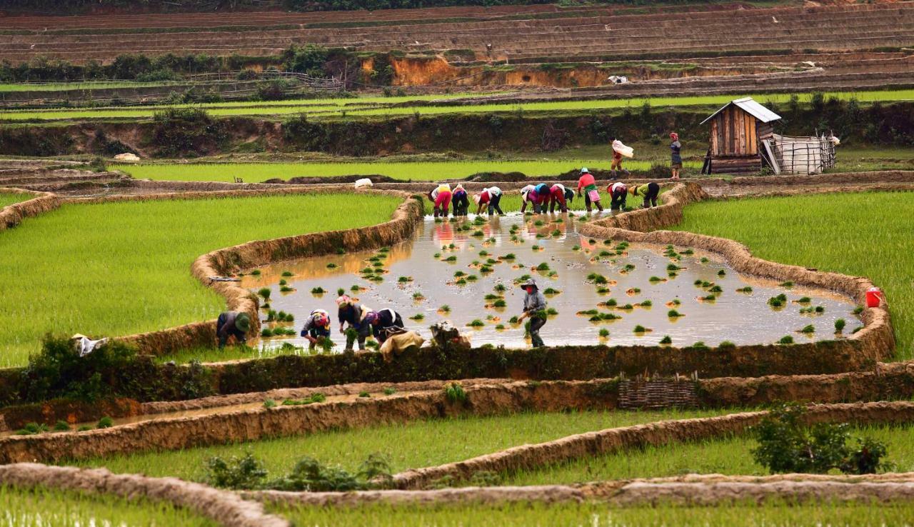 Mu Cang Chai Eco Lodge Nam San Dış mekan fotoğraf