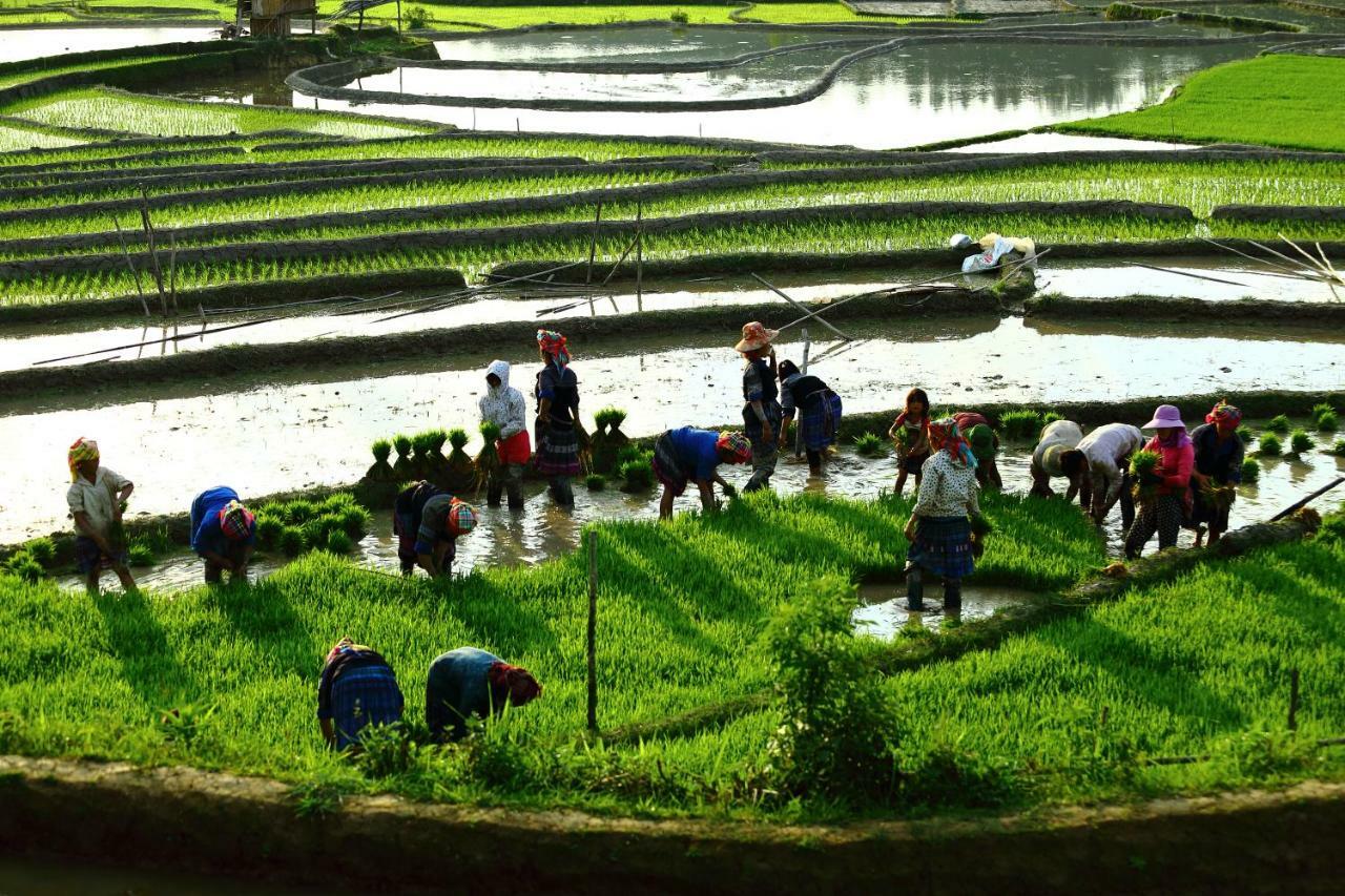 Mu Cang Chai Eco Lodge Nam San Dış mekan fotoğraf
