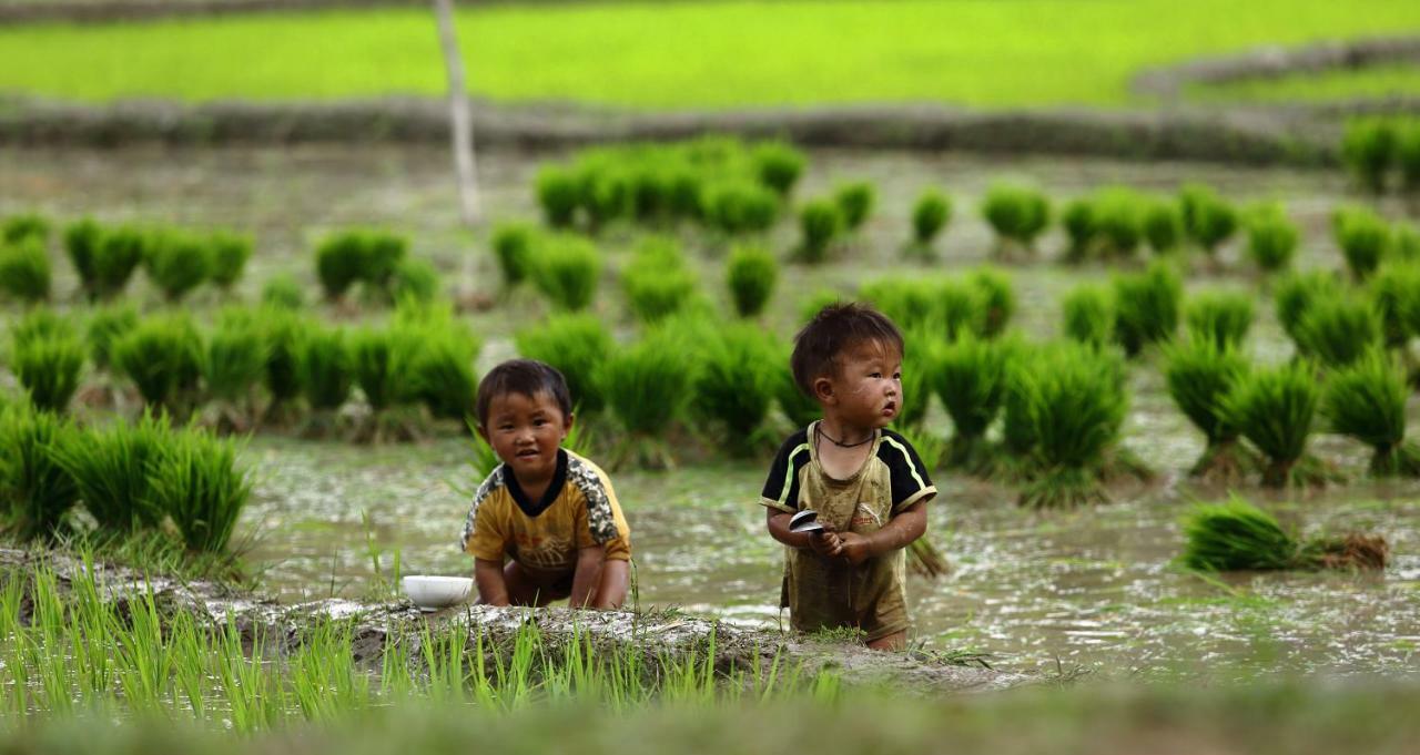 Mu Cang Chai Eco Lodge Nam San Dış mekan fotoğraf