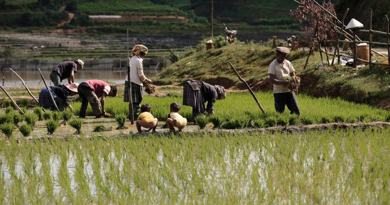 Mu Cang Chai Eco Lodge Nam San Dış mekan fotoğraf
