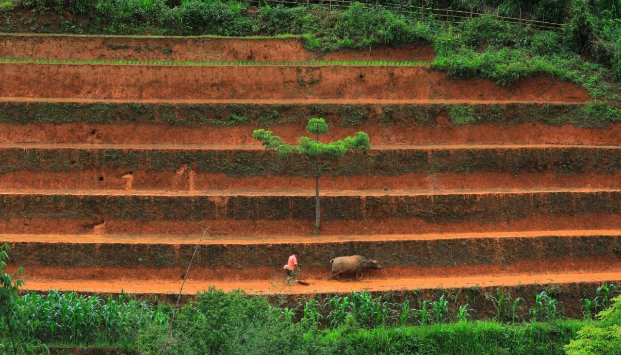 Mu Cang Chai Eco Lodge Nam San Dış mekan fotoğraf
